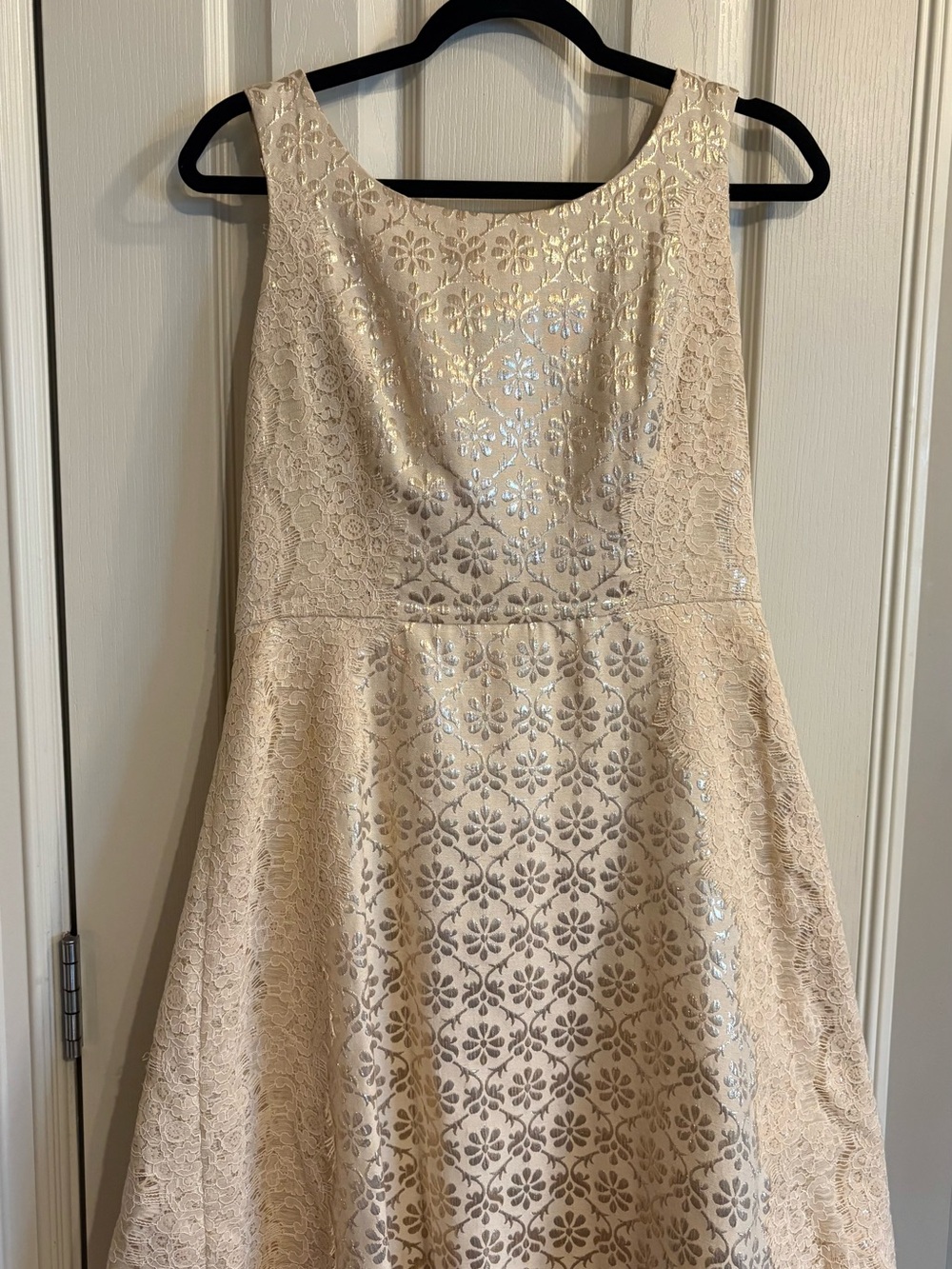 Sleeveless Jessica Simpson Lace Fit & Flare Dress